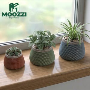 Puede incluir: Tres macetas decorativas con patrones de diamantes texturizados en óxido, verde y azul, cada una con una planta diferente. Las macetas están sobre un alféizar de madera. El logotipo "MOOZZI 3D printables" es visible.