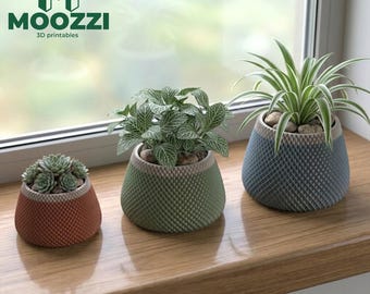 Vaso a pois STL, stampa 3D, vaso per piante grasse con superficie granulosa, rotondo, stile scandinavo boho, decorazione per la casa.