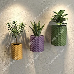 Puede incluir: Tres macetas murales en amarillo, morado y verde, cada una con un patrón texturizado en forma de escamas. Las macetas contienen varias plantas verdes, creando una exhibición vibrante. Las macetas están montadas en una pared texturizada de color blanquecino.