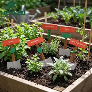 May include: A garden bed with wooden raised beds and various herbs. Orange signs with the names "Mint", "Oregano", "Rosemary", "Sage", and "Garden peas" are placed in the soil. The signs are shaped like shovels.