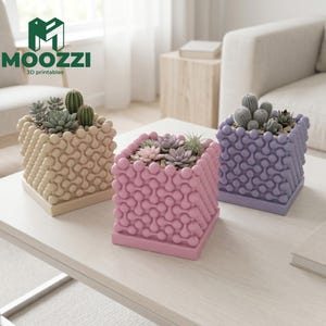 Può includere: Tre fioriere quadrate beige, rosa e viola, ciascuna riempita con piante grasse e cactus. Le fioriere hanno un design unico e strutturato. Il logo "MOOZZI 3D printables" si trova nell'angolo in alto a sinistra.