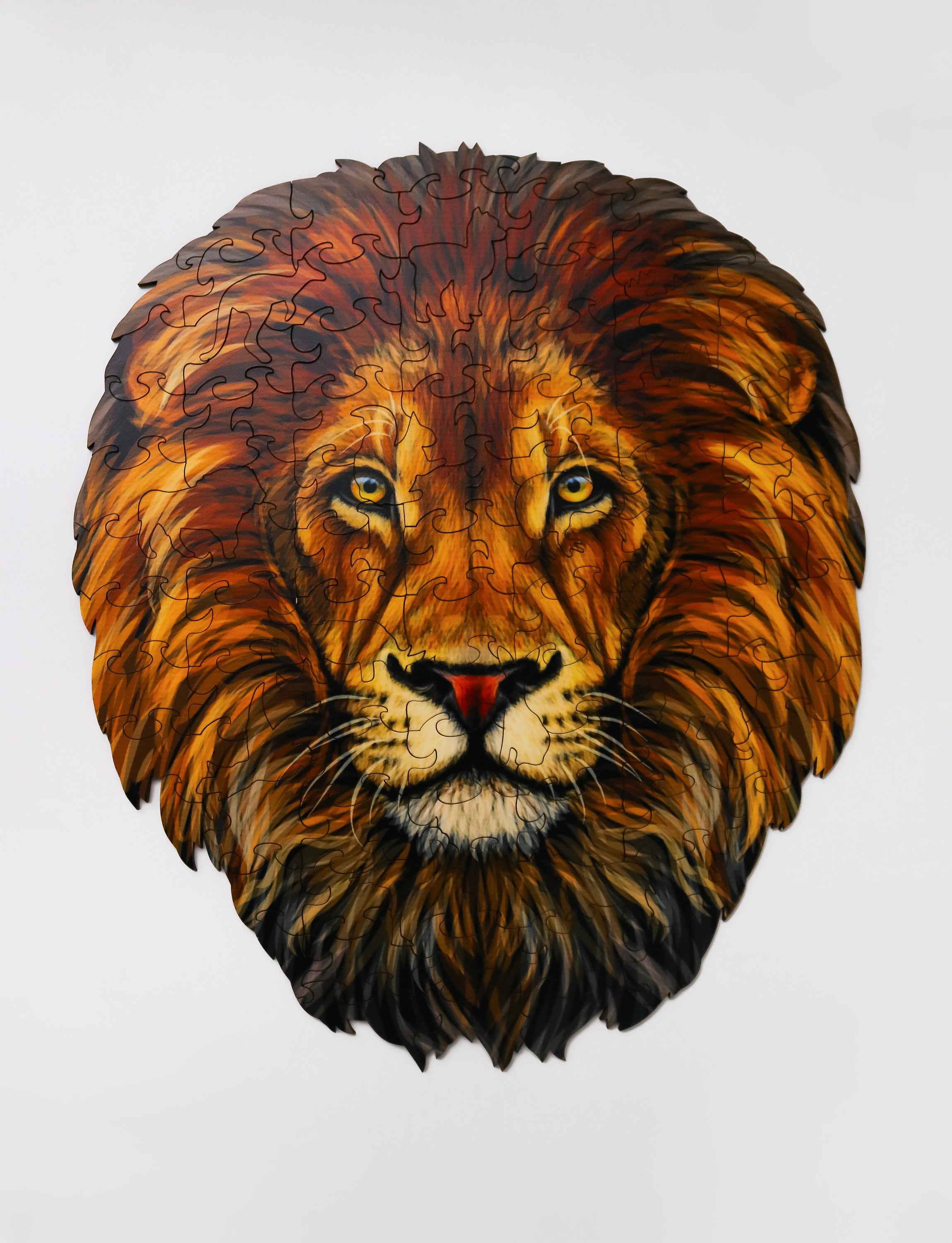 Лев 24. Зубы африканского льва. Львов фото. Самец прайда лев. Настенные часы 21 век.