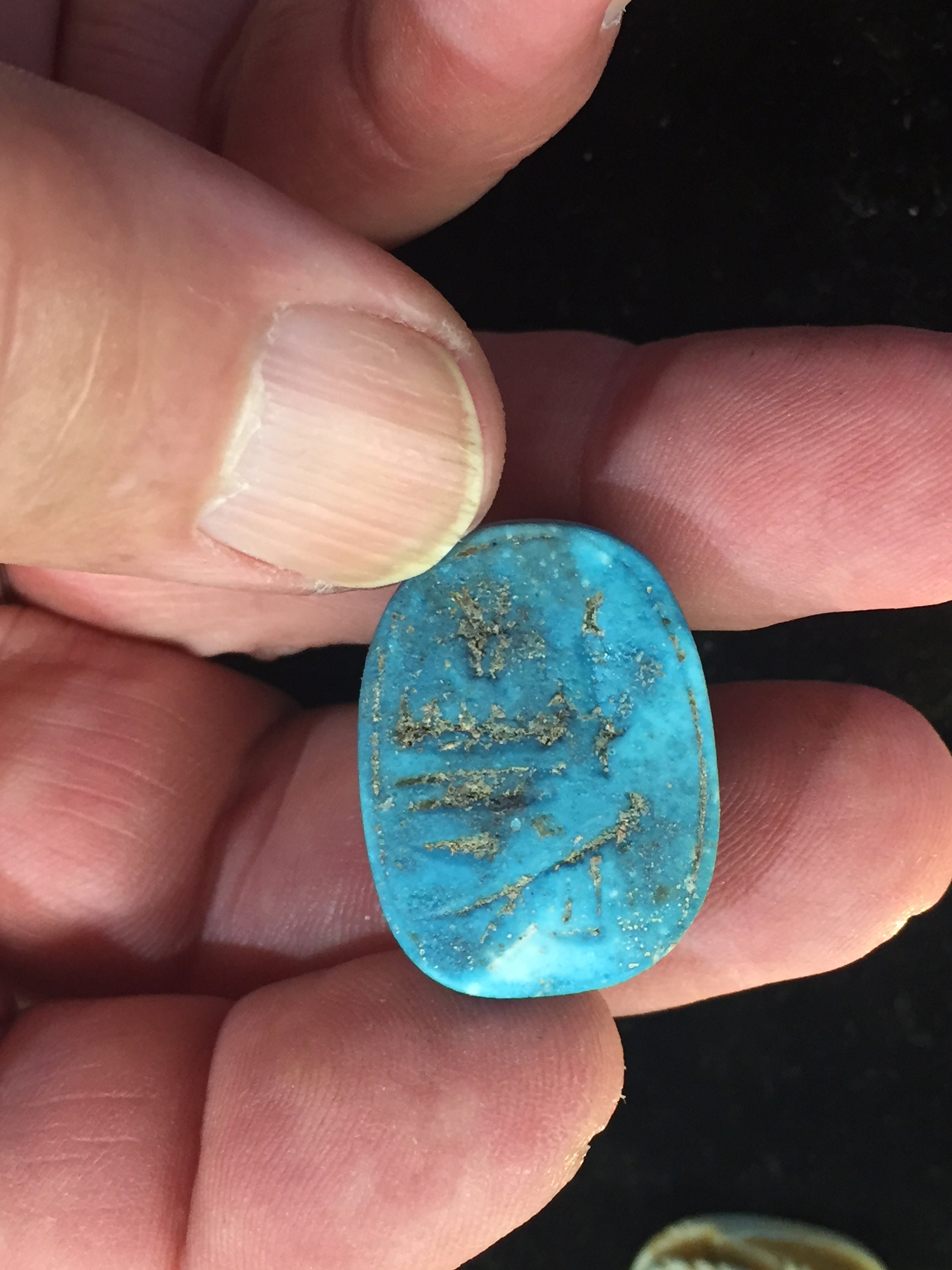 Turquoise Scarab carved bead drilled for necklace slide | Etsy