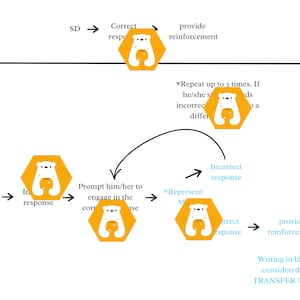 May include: A flowchart diagram with arrows showing the steps involved in a training process. The diagram uses a cartoon image of a polar bear holding a cup of honey to represent the training process. The diagram includes the text "Correct response", "Incorrect response", "Provide reinforcement", "Prompt him/her to engage in the correct response", "Represent ST", "*Repeat up to 3 times. If he/she still provides an incorrect response, move on to a different task.", and "Writing in blue is considered the TRANSFER TRIAL."