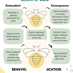 4 Functions of Behavior Parent Training Handout PDF Guide - Etsy
