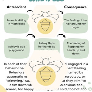 4 Functions of Behavior Parent Training Handout PDF Guide - Etsy