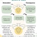 4 Functions of Behavior Parent Training Handout PDF Guide - Etsy