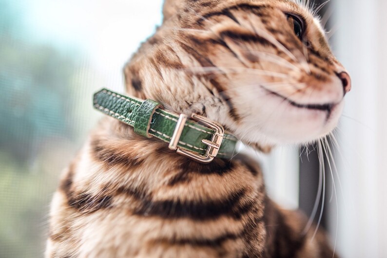 Cat Collar Leather Breakaway Unique - Leather Cat Collar Breakaway Cat Collar Leather Breakaway Unique - Leather Cat Collar Breakaway