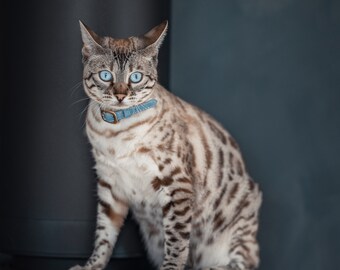 Collier pour chat en cuir bleu avec boucle, style créateur élégant