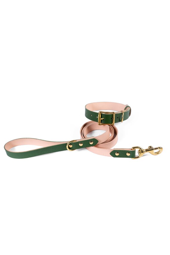 strong dog leash and collar