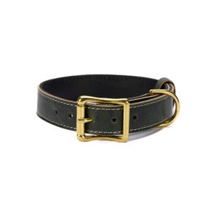 Grünes Lederhalsband für Hunde - Handgefertigtes Vollnarbenleder-Halsband für Hunde mit einstellbarer Passform und soliden Messing-Hardwares – Langlebig & Stylish