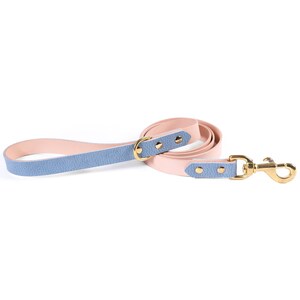 Light Blue Leather Dog Leash with Solid Brass Hardware – Handmade Durable Dog Leash for Large and Small Dogs