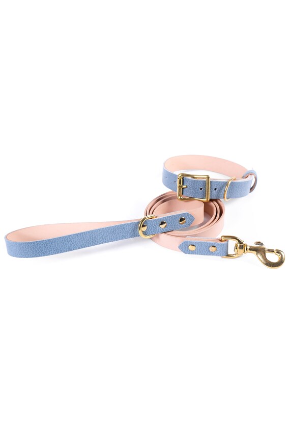 strong dog leash and collar