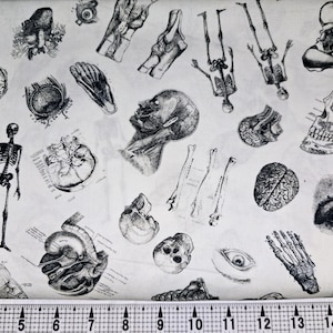 Pode incluir: Ilustrações anatômicas em preto e branco sobre um fundo de tecido branco. As ilustrações incluem um esqueleto, um cérebro, um olho, um coração e um crânio.