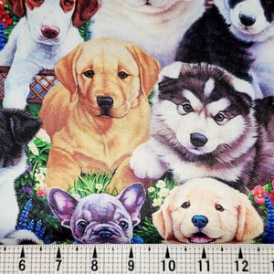 David Textiles Precious Puppies 3558 Fabric by the Yard//Piece