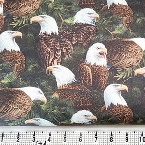 Springs Creative Flying High Eagles CP65171 Tessuto tagliato su misura//Pezzo