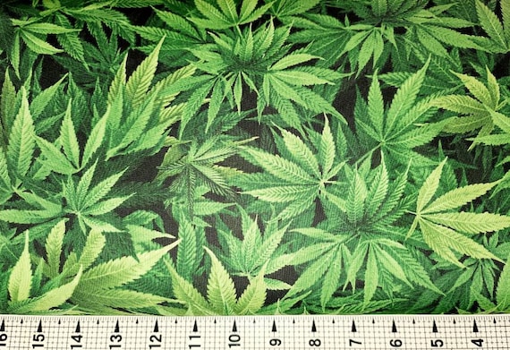 Timeless Treasures Marijuana NATURE-C3819/CD3819 Fabric by the