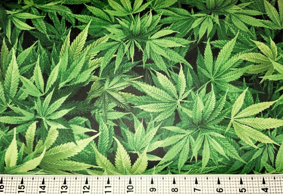 Timeless Treasures Marijuana NATURE-C3819/CD3819 Fabric by the