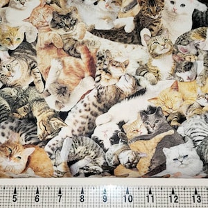 Timeless Treasures Cuddling Cats C1033 Fabric by the Yard//Piece
