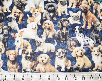 Paquete de cachorros Quilting Treasures 2600-31448-W Tela cortada a medida // Pieza
