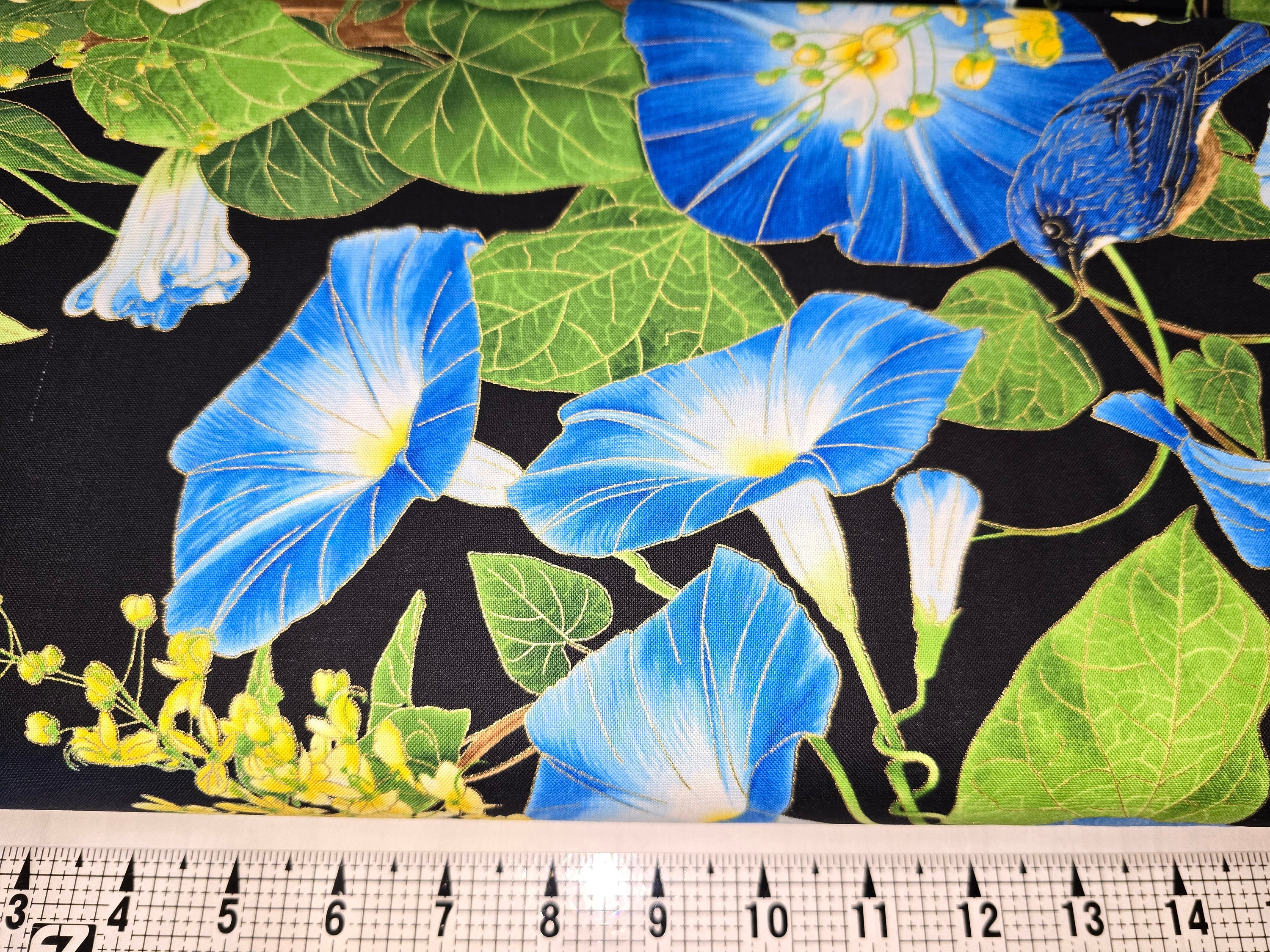 Timeless Treasures Morning Glory CM4968 Fabric by the Yard//piece