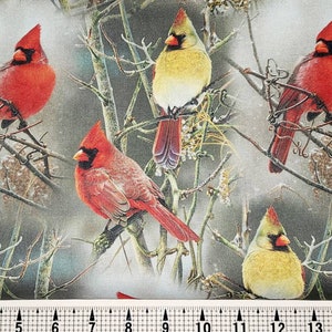 David Textiles Winter Cardinals AS-0079-2C Fabric by the Yard//Piece