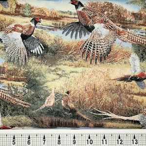 Springs Creative Feathered Run Pheasants CP59995 Fabric by the Yard//Piece