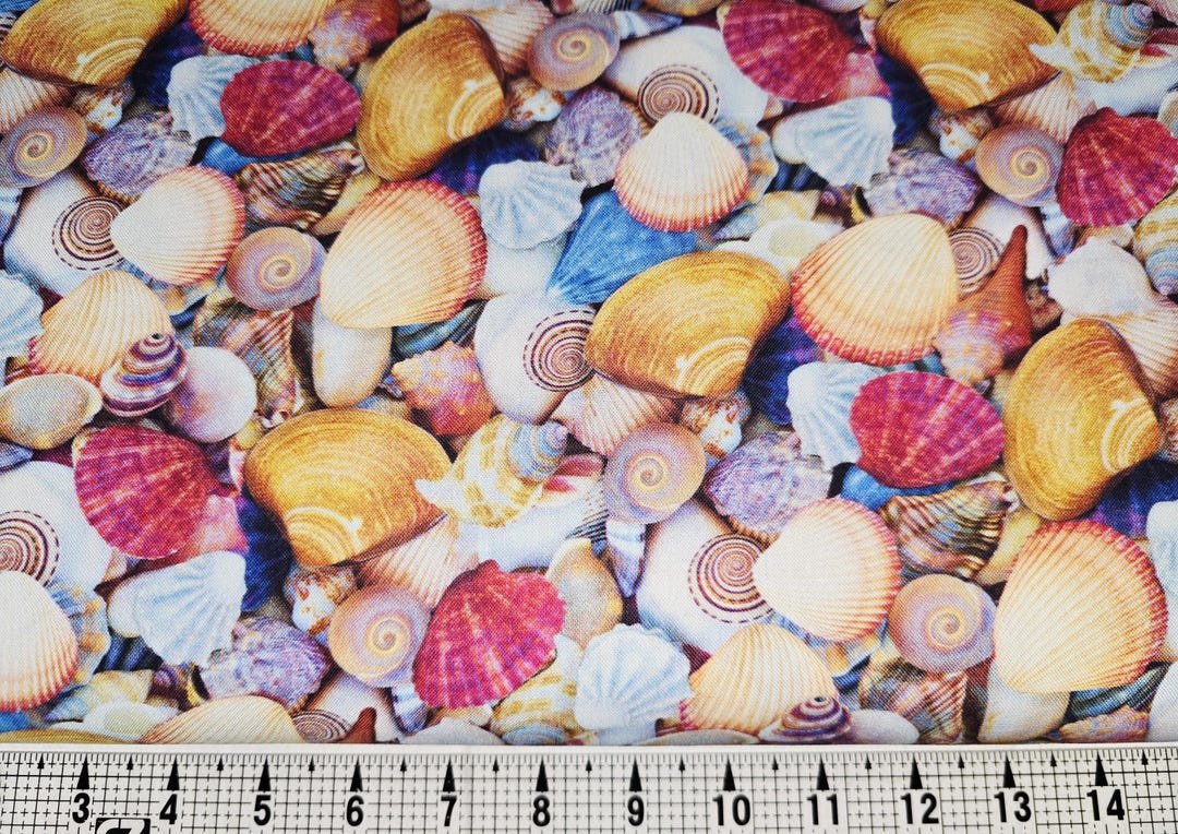 Windham Fabrics Shellabrate Seashells 52117D Fabric by the Yard//piece ...