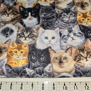 Timeless Treasures Mixed Breeds of Cats C8417 Fabric by the Yard//Piece