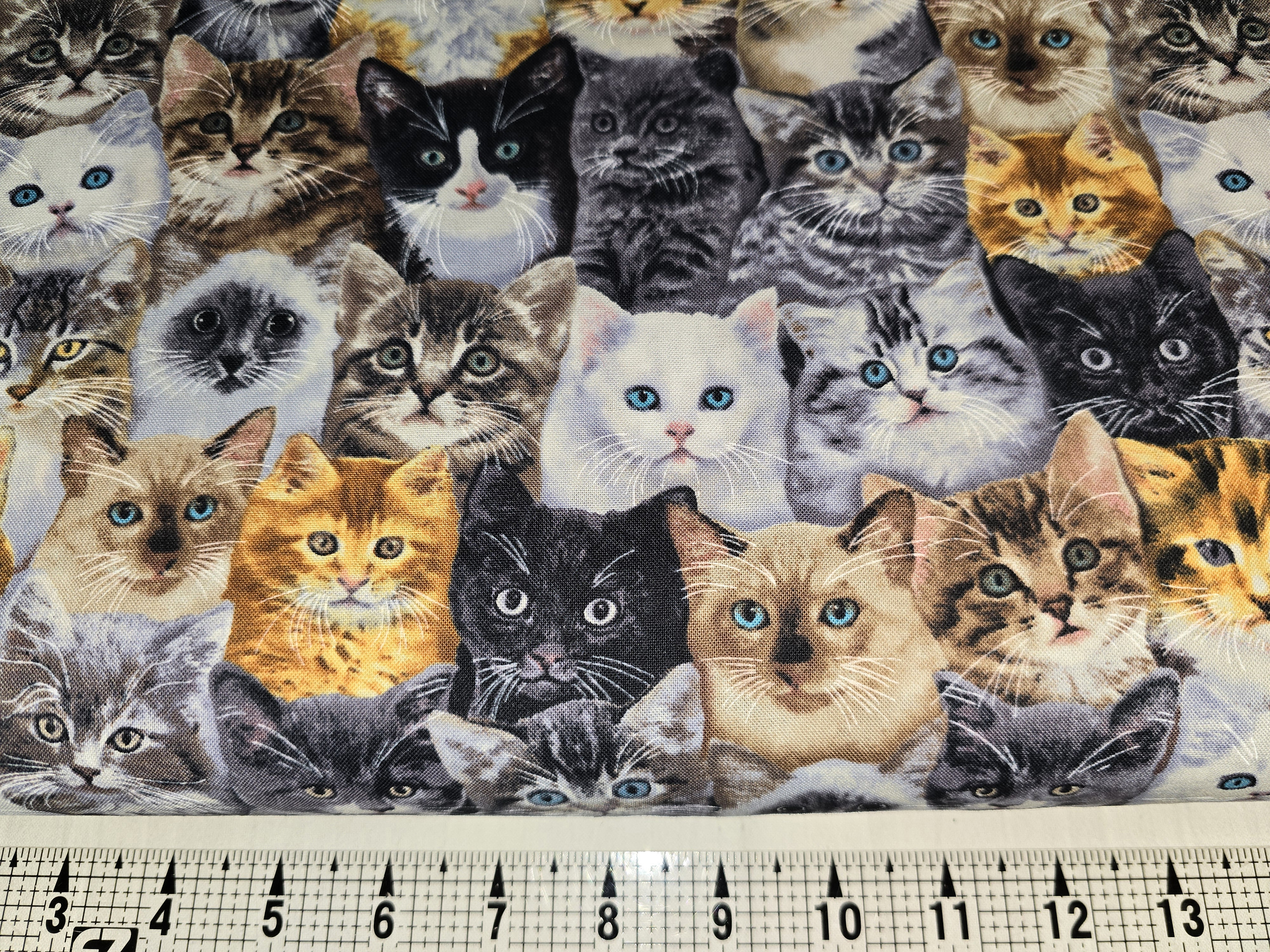 Timeless Treasures Mixed Breeds of Cats C8417/CD8417 Fabric by the