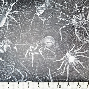 Timeless Treasures Charcoal Spider on Web CD2765 Fabric by the Yard//Piece