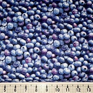 Elizabeth Studios Berry Good Blueberries 509 Fabric by the Yard//Piece