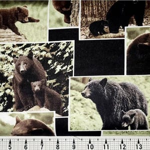 Kanvas Fabrics On the Wild Side Bears 05763 Fabric by the Yard//Piece