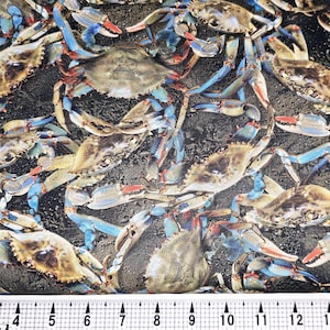 Windham Fabrics A La Carte Blue Crabs 54404D-1 Fabric by the Yard//Piece
