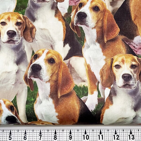 David Textiles Beagle Packed DX-4271-3C Fabric by the Yard/Piece