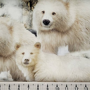Quilting Treasures Arctic Dreams Polar Bear 1649-28831-E Fabric by the Yard//Piece
