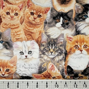 Elizabeth Studios Adorable Pets Kittens 3802 Tela cortada a medida // Pieza