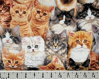 Elizabeth Studios Adorable Pets Kittens 3802 Fabric by the Yard//Piece