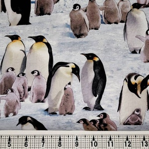 Elizabeth Studios Emperor Penguins 490 Tessuto tagliato su misura//Pezzo