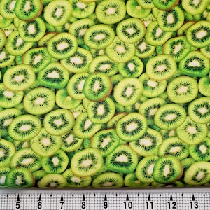 Windham Fabrics A La Carte Kiwi 51892D Fabric by the Yard//Piece