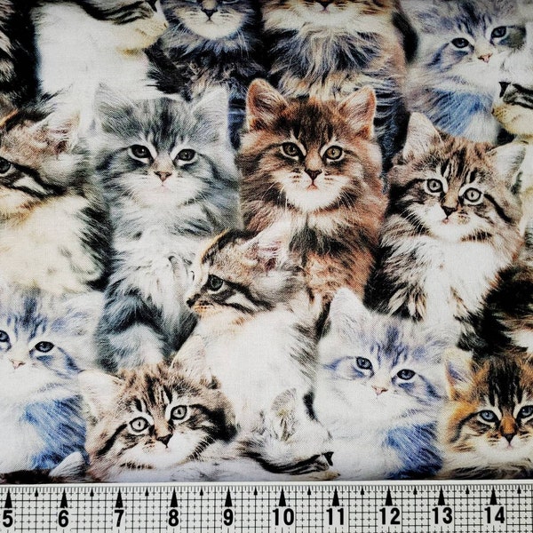 Windham Fabrics One of a Kind Cats 5006OD-X Fabric by the Yard/Piece