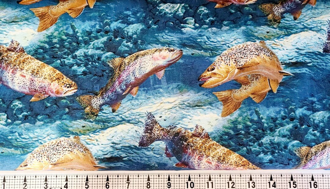 Springs Creative Troutman Basin CP53282 Fabric by the Yard/piece Etsy