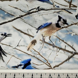 Hoffman Fabrics Call of the Wild Bluejay V5214 Fabric by the Yard/Piece