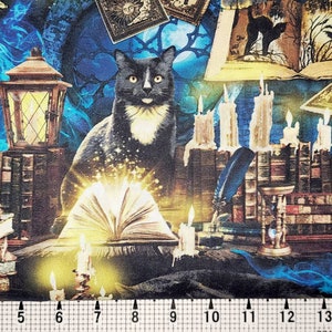 Timeless Treasures Mystical Spooky Black Cats CD8644 Fabric by the Yard//Piece