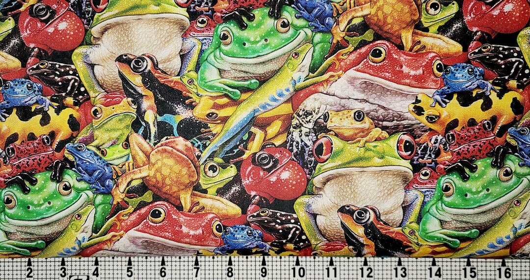 Studio E Fabrics Jewels of the Jungle Frogs 5565 Fabric by the Yard ...