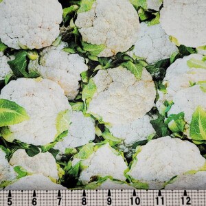 Windham Fabrics A La Carte Cauliflower 51899D-X 生地（1ヤードあたり）//枚