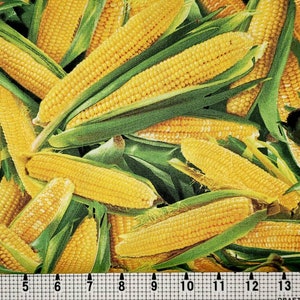 Elizabeth Studios Food Festival Corn 435 Fabric by the Yard//Piece
