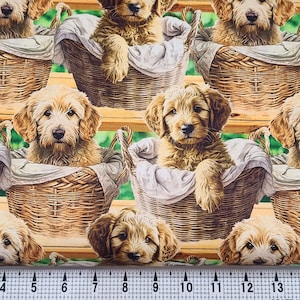 David Textiles Baby Goldendoodles DX-4284-3C Fabric by the Yard//Piece