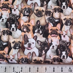 Elizabeth Studios Best Friend French Bulldogs 687 Fabric by the Yard//Piece