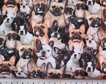 Elizabeth Studios Best Friend French Bulldogs 687 Fabric by the Yard//Piece